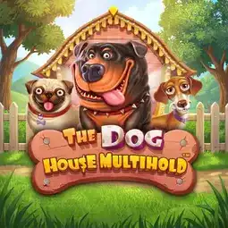 The Dog House Multihold game at Golden Lady Casino for United Kingdom players The Dog House Multihold game at Golden Lady Casino for United Kingdom players